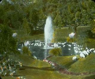 ������� ����, ��� �����