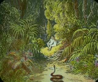 ��������� ����, ������ ������