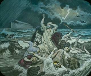 ����� ���� ����