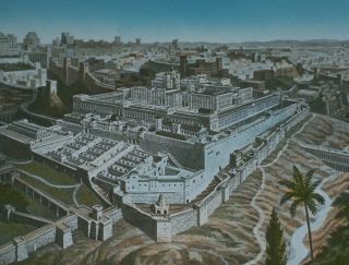 ���� �������