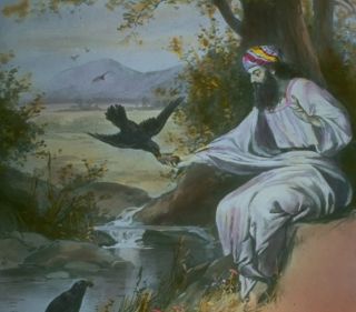 ����, �������� ��������