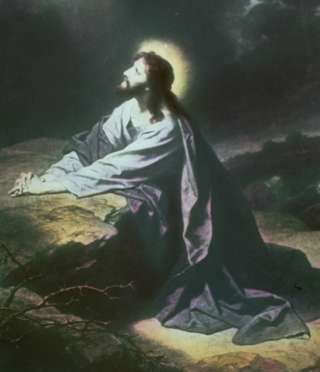 ������� � ����������