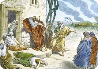 ��������� ���� ��� ������