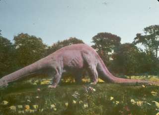 �������� � �������� ������������ �����