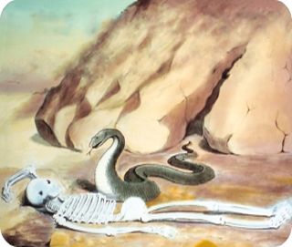 ��������� ���� ������