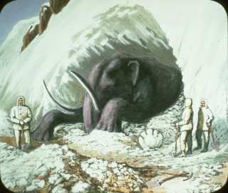 ���������, ��������� �����