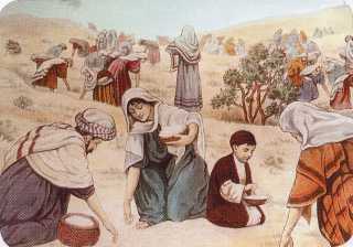 ��������� ����� �� �������