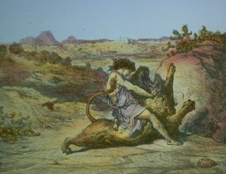 ����� ������� ����