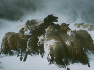 ��������� ����