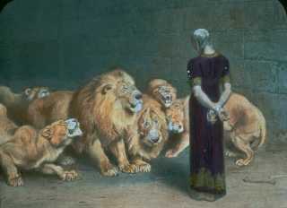 ���� ����� � ���