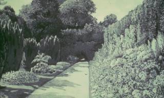 �����, �������� ����, ����� �������